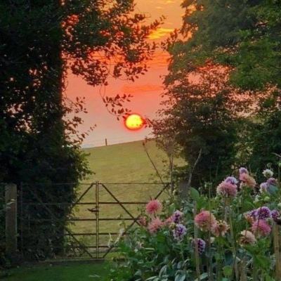 南宫28手机app下载